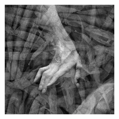 Fanis Logothetis Artworks - Gestures