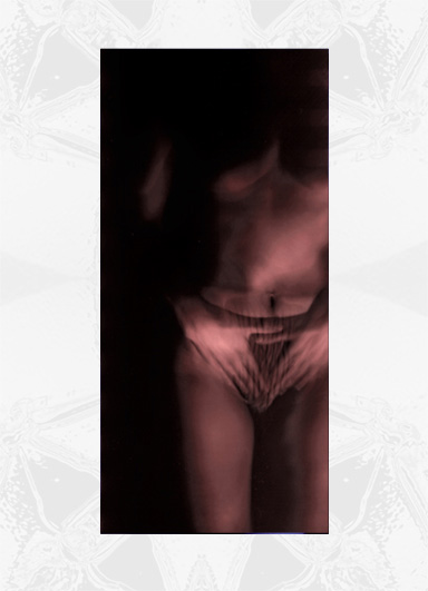 Fanis Logothetis Artworks - Panoramic nude 